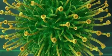 cropped-virus4.webp