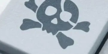 pirataria-1