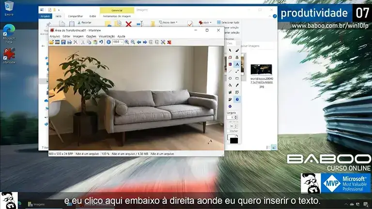 Aula 13: Edge Chromium, VLC e IrfanView