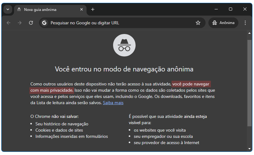 Google excluirá dados de navegação anônima